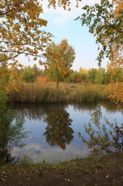 sonbahar manzara - gölet Park