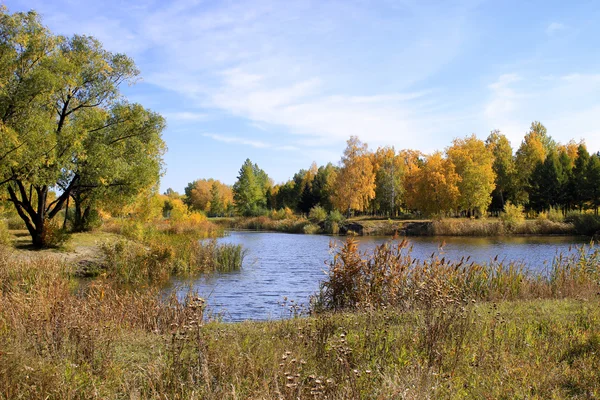 Podzimní krajina - rybník v parku Stock Snímky