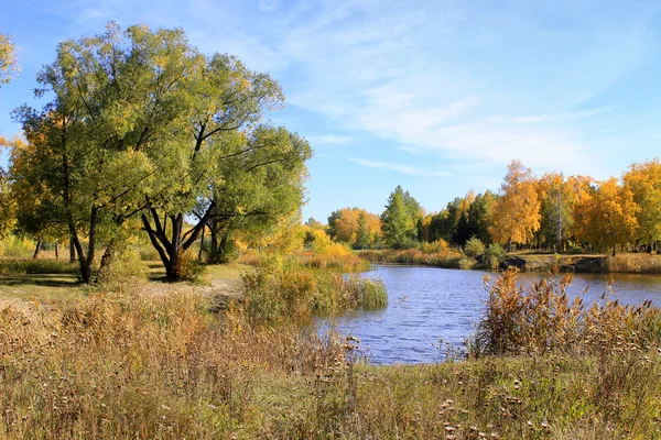 Sonbahar manzara - gölet Park — Stok fotoğraf