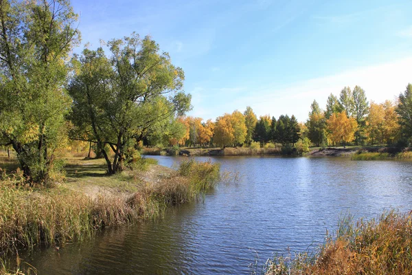 Paisaje otoñal - estanque en el parque —  Fotos de Stock