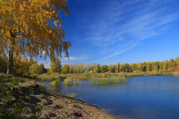 Paysage d'automne - étang dans le parc — Photo