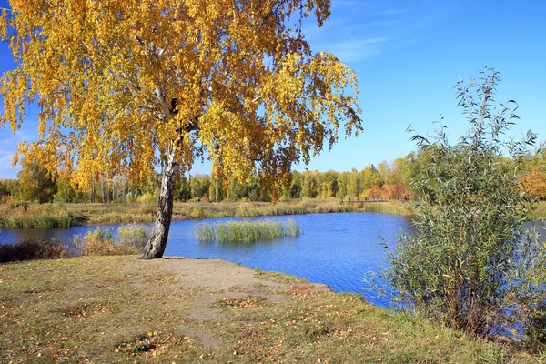 Осенний пейзаж - пруд в парке — стоковое фото