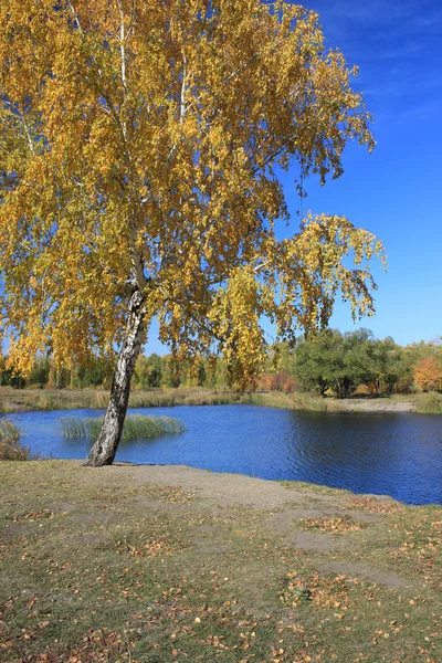 Jesień krajobraz - staw w parku — Zdjęcie stockowe