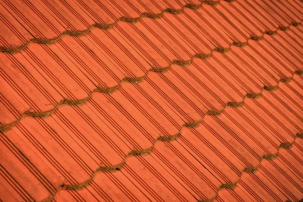 Teja de azulejo sobre cielo azul — Foto de Stock