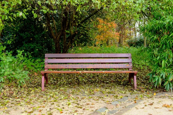 Banco en el parque — Foto de Stock