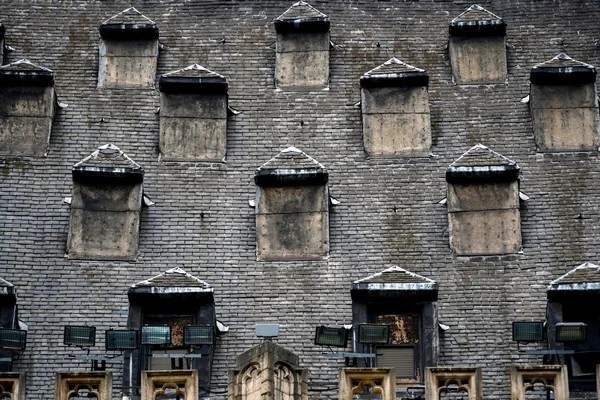 Viele Fenster auf dem Dach — Stockfoto