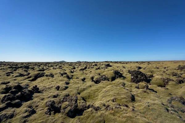 Islanda campo di lava ricoperto di muschio verde — Foto Stock