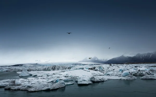 Icebergs na lagoa da geleira — Fotografia de Stock