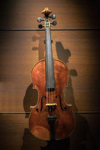 Aged musical instrument — Stock Photo, Image