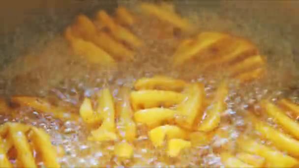 Pommes frites, kokande i solrosolja — Stockvideo