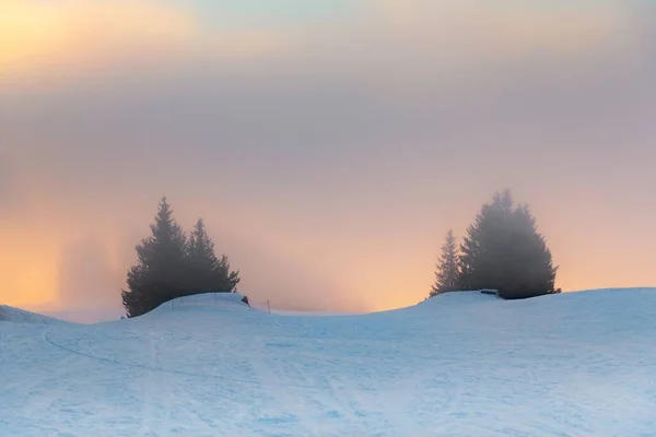 Niebla árboles cubiertos en las montañas —  Fotos de Stock