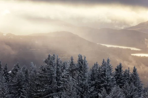 山の霧に覆われた木 — ストック写真