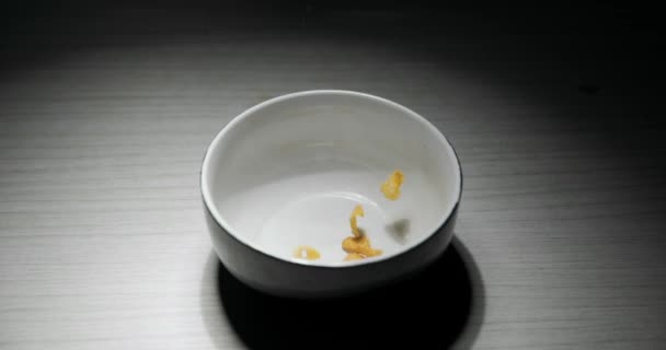 Verter el cereal en el bowl de primer plano — Vídeo de stock