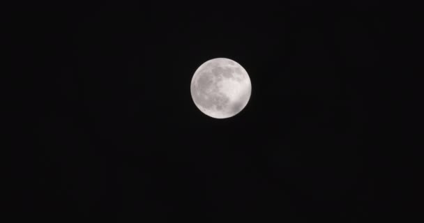 Pleine lune avec des nuages se déplaçant devant elle — Video