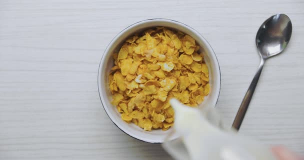 Выливание молока в миску с зерновыми — стоковое видео