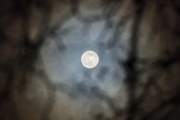 Luna llena contra cielo nocturno nublado — Foto de Stock