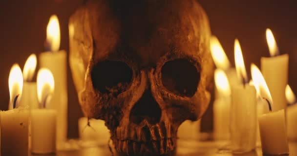 Velas y cráneo humano en la oscuridad material de primer plano — Vídeos de Stock