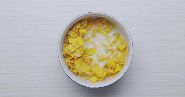 TImelapse z Jíst mísu cereálií k snídani detailní záběry — Stock video