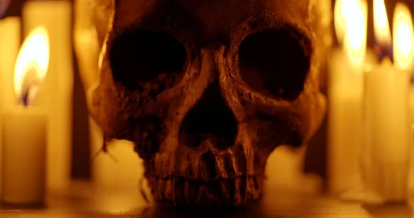 Candles Human Skull Darkness Close Footage — Stock Photo, Image