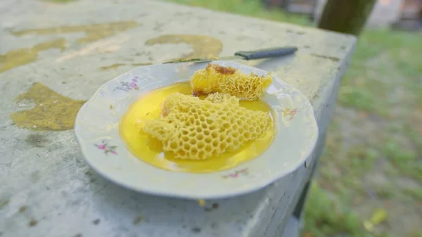 Raw honey with honeycomb from the beehive closeup