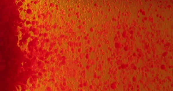 Small Red Blood Cells Fluid Closeup Footage — Stock Photo, Image