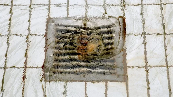 タイル張りの床にスチールドレンと水が近くに旋回 — ストック写真