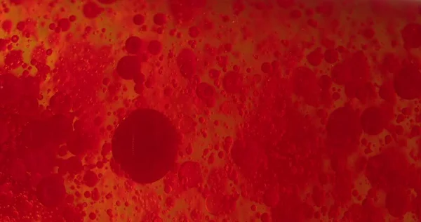 Small Red Blood Cells Fluid Closeup Footage — Stock Photo, Image