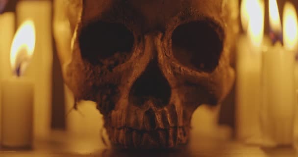 Bougies Crâne Humain Dans Obscurité Gros Plans — Video
