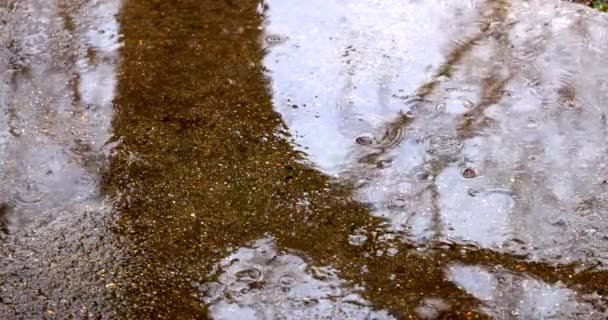 Triste concepto de día lluvioso con superficies húmedas — Vídeos de Stock