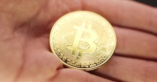 Inspecting Physical bitcoin held in hands closeup — Stock Video