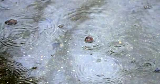 Triste concepto de día lluvioso con superficies húmedas — Vídeo de stock