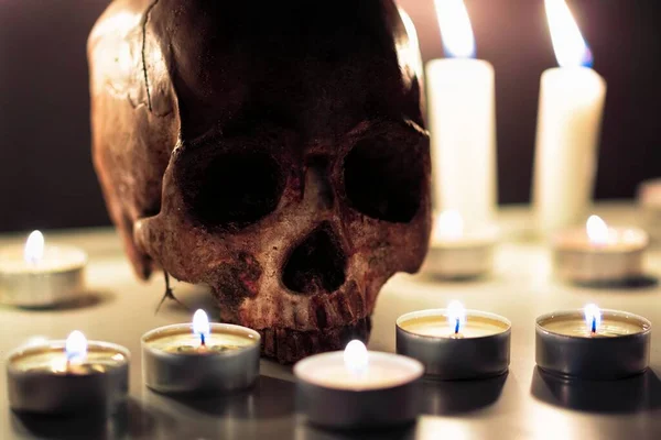 Human skull against dark background in candle light closeup — Stock Photo, Image