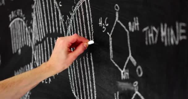 Dark black chalk board with man drawing dna molecule — Stock Video