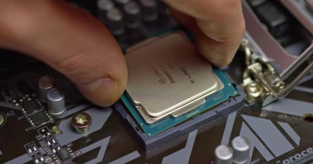 Installing processor into motherboard closeup footage — Stock Video
