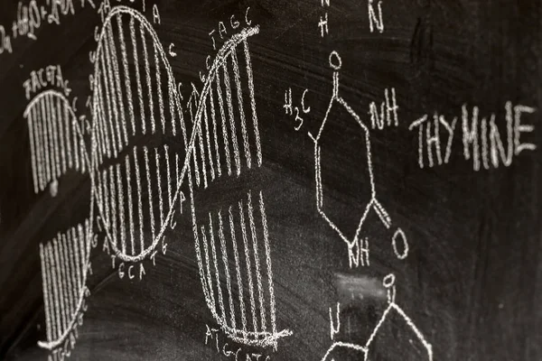 Mörk svart kritskiva med DNA ritat på — Stockfoto