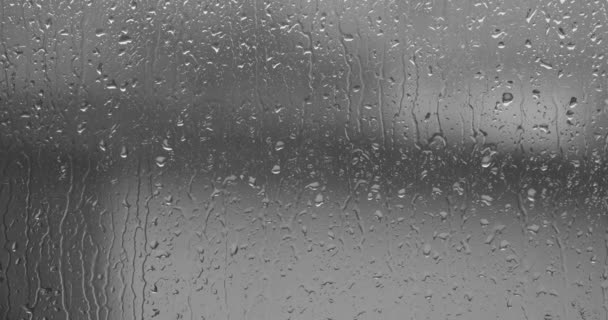창문 유리 위로 빗방울이 흘러내리는 모습 — 비디오
