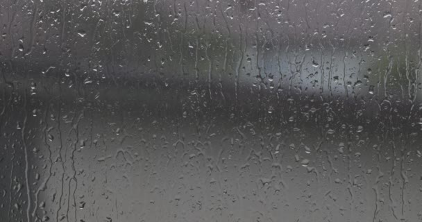 Stroompjes regendruppels op vensterglas — Stockvideo