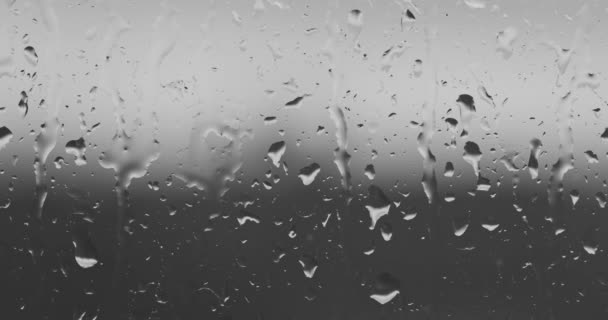 Flujos de gotas de lluvia en el cristal de la ventana — Vídeo de stock