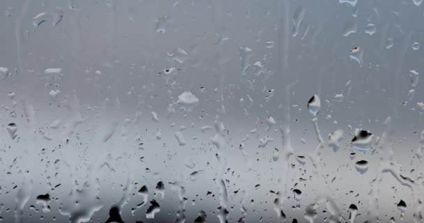 Fluxos de gotas de chuva no vidro da janela — Vídeo de Stock