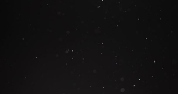 어두운 배경 위를 날고 있는 미세 한 입자들 — 비디오