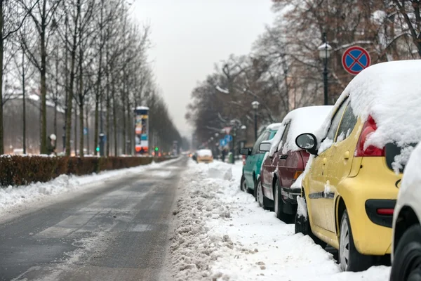 Машины, покрытые снегом после метели — стоковое фото
