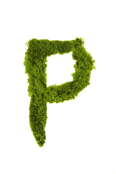 Letter made out of Leaves — Stock Photo, Image