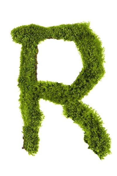 Litery wykonane z liści — Zdjęcie stockowe