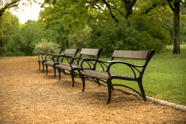 Stylish bench in autumn park — Stock Photo, Image