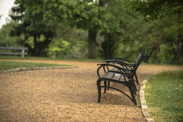 Stylowe ławki w parku jesień — Zdjęcie stockowe
