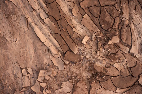 雨の前に乾燥した土壌のクローズ アップ — ストック写真