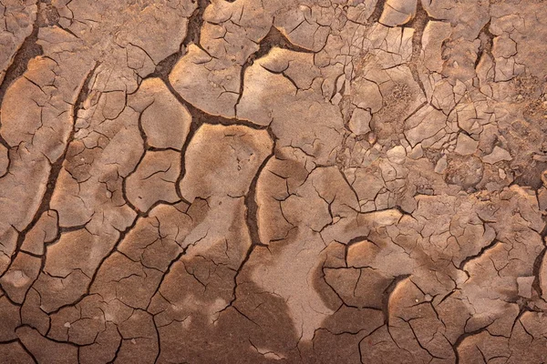 Primer plano del suelo seco antes de la lluvia —  Fotos de Stock