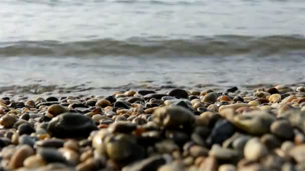 Havet polerade stenar närbild — Stockvideo