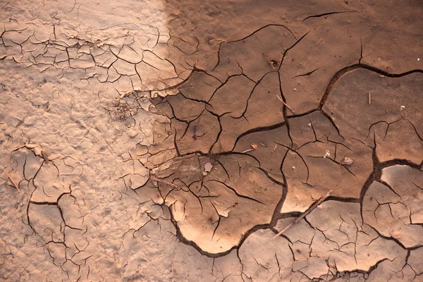 Dry soil closeup before rain — Stock Photo, Image