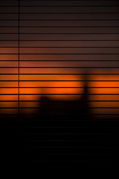 Prachtige silhouet — Stockfoto